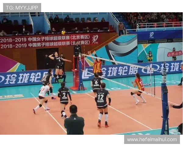 排球盛宴:深入了解成都排球队的团队精神与训练哲学