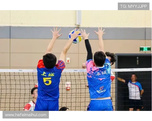 杭州排球队的转型之路:从传统到现代的全面革新探索